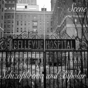 Schizophrenia and Bipolar (Explicit)