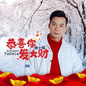 恭喜你发大财 (张小耀 remix)