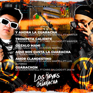 AMOR CLANDESTINO (feat. DJ AUDEN MARTELL, LUIS ALFONSO)