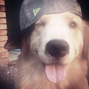 Super Shy (feat. R&Bboi)