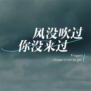 风没吹过你没来过 (抒情版伴奏)
