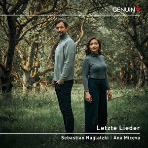 Don Quichotte à Dulcinée, M. 84 - Don Quichotte à Dulcinée, M. 84: II. Chanson épique