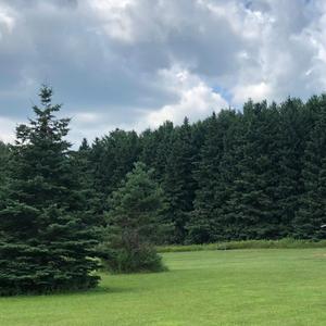 Square Roots(feat. Christian Berger)