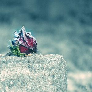 De Laatste Dag (Explicit)