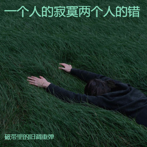 一个人的寂寞两个人的错 (R&B微醺版)