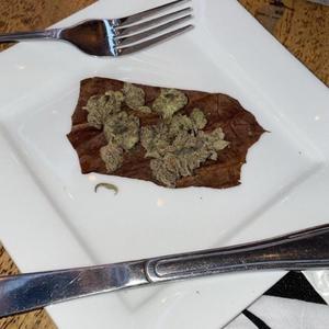 THC Freestyle (Explicit)