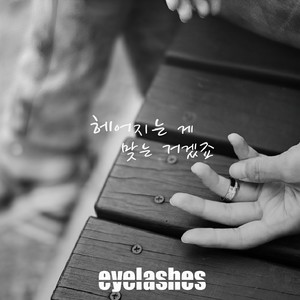 헤어지는 게 맞는 거겠죠. (分手是对的吧.)