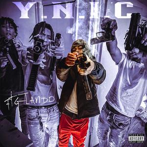 Y.N.I.C (Explicit)