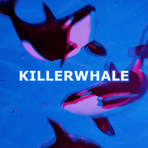 KILLERWHALE