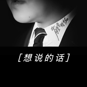 想说的话