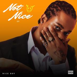 Not Nice (Explicit)