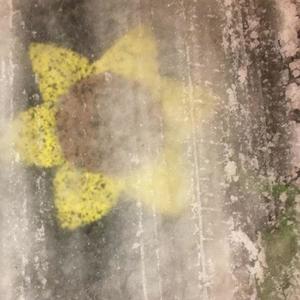 War (feat. roxas358 & Crusifye) (Explicit)