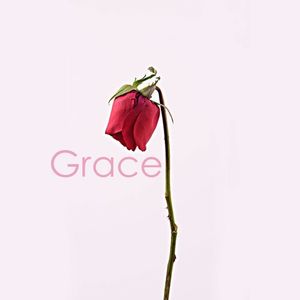 Grace（体面）