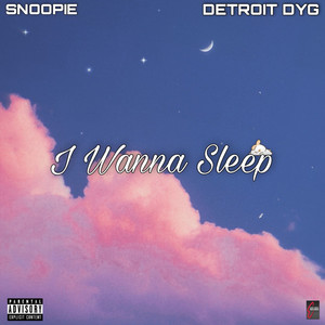 I Wanna Sleep (Explicit)