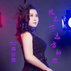 阿影 - 放不下远方的你 (DJ彭洋版)