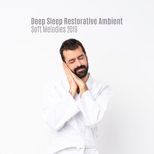 Deep Sleep Restorative Ambient Soft Melodies 2019