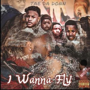 I Wanna Fly (Explicit)