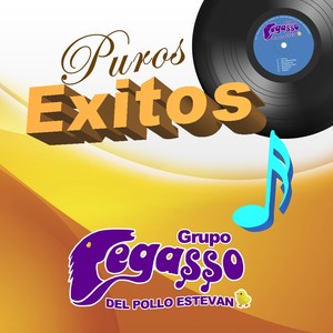 Puros Exitos