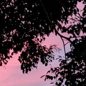 V De Victoria (Explicit)