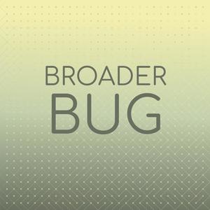 Broader Bug