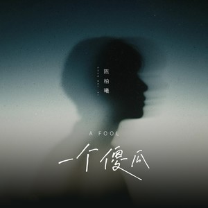 一个傻瓜