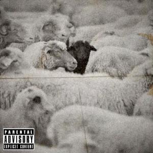 BLACK SHEEP (Explicit)