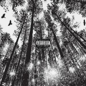 blaak forest (Explicit)