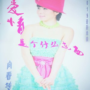 爱情是个什么东西 (伴奏)