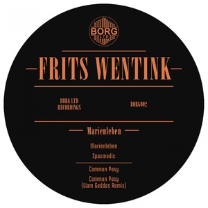 Common Posy (Liam Geddes Remix)