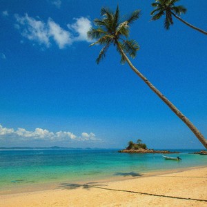 Walls Won’t Stop Me