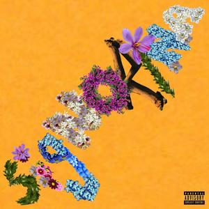 Signorina (Explicit)