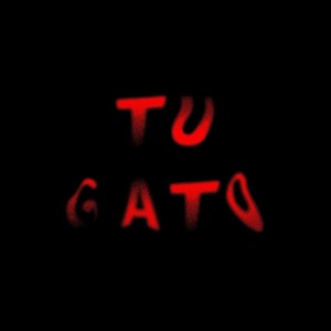 Tu gato