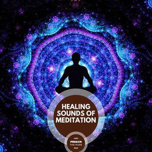 Healing Sounds Of Meditation