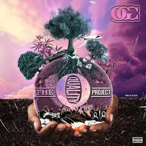 The Q Project (Explicit)