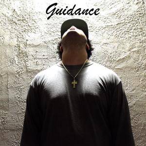 Guidance (Explicit)