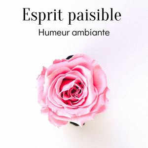 Esprit paisible: Humeur ambiante - La nature sonne pour la détente, Dormir, Méditation