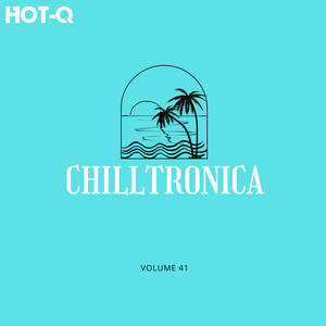 Chilltronica 041