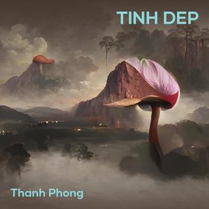 TINH DEP