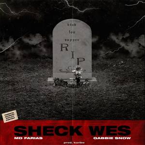 Sheck Wes (feat. Gabbie Snow)