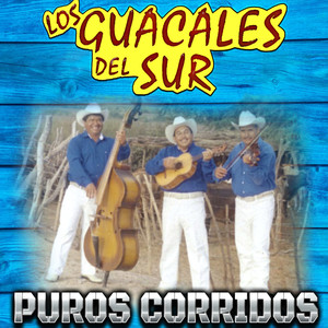 Puros Corridos