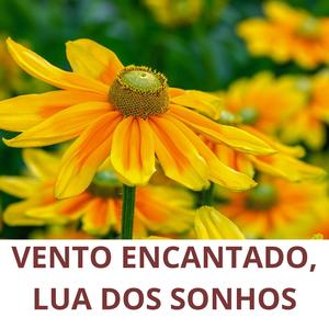 VENTO ENCANTADO , LUA DOS SONHOS