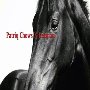 Stallion Life (Explicit)