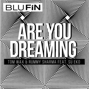 Are You Dreaming (Tom Wax Edit)