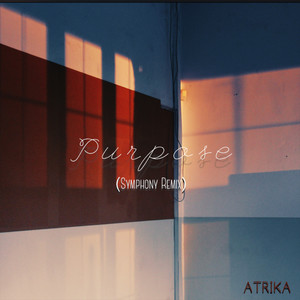 Purpose (Symphony Remix)