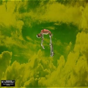 WEB (feat. Alex Reid)