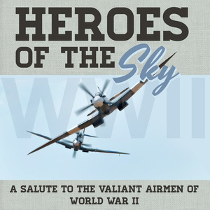 Heroes of the Sky