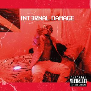 Internal Damage (Explicit)