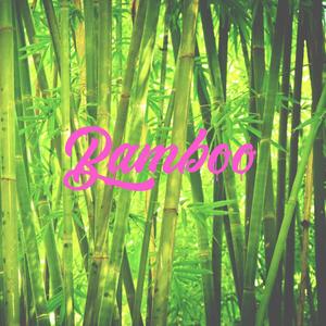 Bamboo