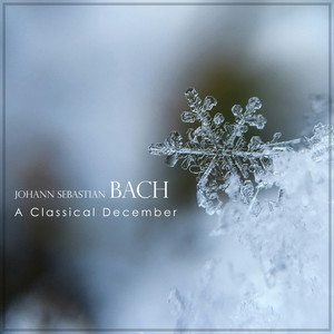Flute Sonata in E Flat Major, BWV 1031 - Arr. for Accordion by R. Galliano - J.S. Bach: Flute Sonata in E Flat Major, BWV 1031 - Arr. for Accordion by R. Galliano: 2. Siciliano