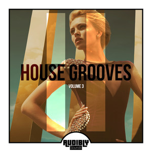 House Grooves, Vol. 3